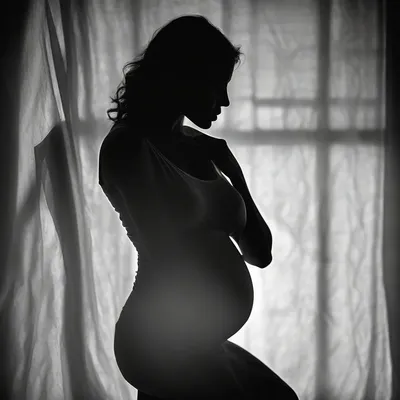 Artistic maternity silhouette