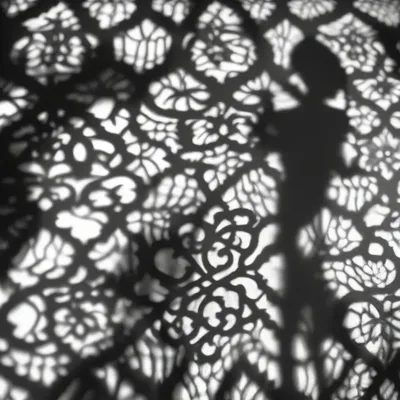 Shadow lace pattern photography